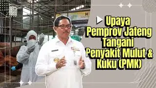 Upaya Pemprov Jateng Tangani Penyakit Mulut dan Kuku (PMK)