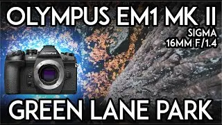 Olympus Em1 mkii • GoPro 11 • Autumn Approaches • Green Lane Park