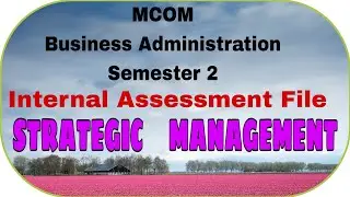 Strategic Management 201 I.A.F. S-2 MCOM