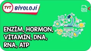 Enzim, Hormon, Vitamin, DNA, RNA, ATP | Kamp2021    