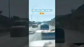 😳 THIS Dude has ZERO FEAR //
