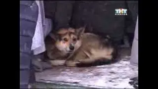 ДВЕ СТОРОНЫ ОДНОЙ МЕДАЛИ