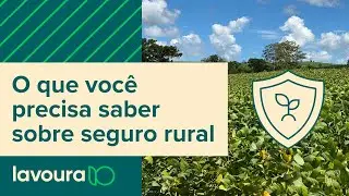 Seguro rural: O que você precisa saber para contratar