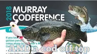 Cod on Top and Codference