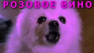 Элджей & Feduk   Розовое вино ft  Пёс Гейб