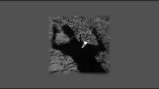I Monster - Who Is She (Slowed + Pitched)