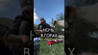 СТРАШНО НОЧЬЮ В ГОРАХ? #блог #влог #горы #собака #природа #поход #путешествия