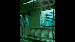 Submerged Public Transport [VisualToMusic Nr.1]