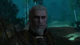 The Witcher 3: Wild Hunt - Gameplay - parte #25
