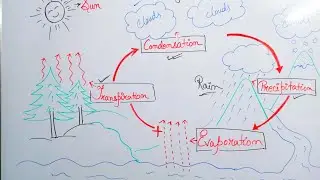 What is Water Cycle ? | How Rain is Formed? |SimplyEasy