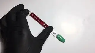 Гель лак Alexa 160 ( Холодная мята). Выкраска на типсу