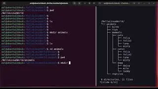 Linux File and Directory Structure Tutorial