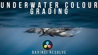 Colour Grading A Underwater GoPro Clip in Davinci Resolve 17