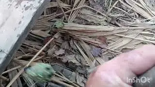 Платник исправил всю ситуацию!