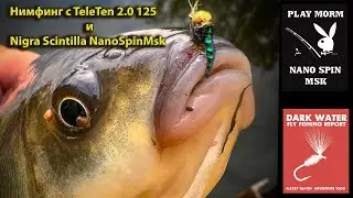Нимфинг с TeleTen 2 0 125 и Nigra Scintilla