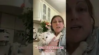 Святая Церковь или блудный Вавилон. С кем ты?! @JuStanTV