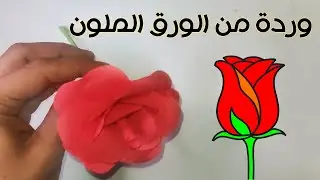 طريقة صنع زهرة من الورق الملون , اعمال يدوية بسيطة