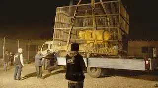 The Moment Before! Animal Incidents You’ll Remember Forever