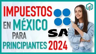 TAXES in Mexico - What they are and how they are divided