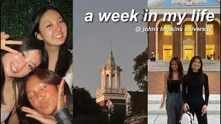 a week in my life @ johns hopkins uni 2024 | stephanie ragrag