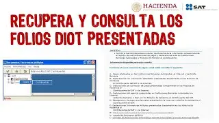 How to Consult Folios and/or Accusations of the DIOT Submitted SAT 2024