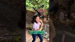 Main khawabo ki Shehzadi 👸🧚🏼‍♀️...#shorts #shortsvideo #shortsindia #funnyshorts #hawa #hawaii
