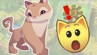 THE ALPHAS FOUND COUGARS IN ANIMAL JAM!!! | Weekly Speseal #3