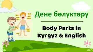 Дене бөлүктөрү - Body Parts in Kyrgyz & English