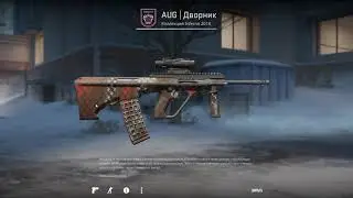 Выпадение кейса Разлом и AUG Дворник / Drop Fracture Case & AUG Sweeper