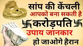 Saanp Ki Kenchuli: Keeping snake skin at home brings financial benefits, just do this - Astro Sach