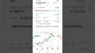 Dodo crypto coin part 2 trade short 
