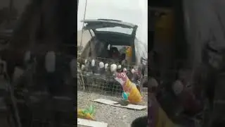 sin llaves jajaja