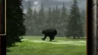 ЧЕЛОВЕК УБЕГАЕТ ОТ МЕДВЕДЯ ПОД МУЗЫКУ РАСТЕНИЯ ПРОТИВ ЗОМБИ😎😱😱