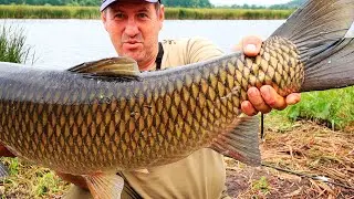 КРУПНОГО БЕЛОГО АМУРА ПРИКАРМЛИВАЛ 2  СУТОК!  ГОТОВИМ ВКУСНЕЙШУЮ ГОВЯДИНУ НА РЫБАЛКЕ!