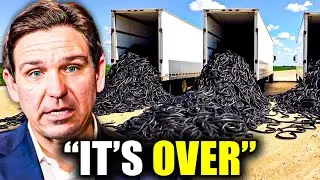 Florida Was LAUGHED At for Fighting Snakes With Snakes — Now the Results Are STUNNING