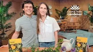 Foraging Texas: Eric Knight & Stacy Coplin