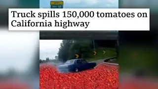 man drifts car on tomatoes...