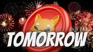 Shiba Inu Get Ready For Tomorrow Big Reveal