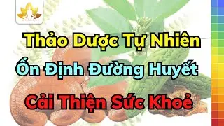 Khám Phá 6 Thảo Dược Tự Nhiên Giúp Ổn Định Đường Huyết, Cải Thiện Sức Khỏe