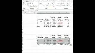 Format Painter in Excel for partial ranges