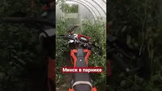 Загнал технику в теплицу