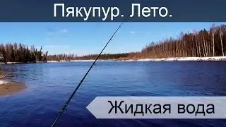 Рыбалка на реке Пякупур. Сезон 2016.