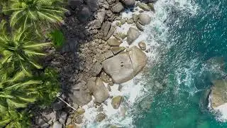 Palm Paradise in Phuket
