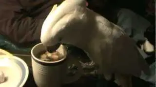 Bianca and her breakfast