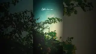 guzar jaungaa tumko chuke💕🥺|aesthetic love status 