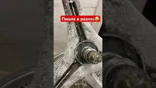 Барабанит при отжиме #lg