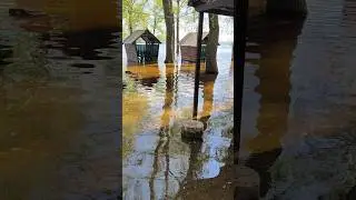 Киев. Вода поднимается