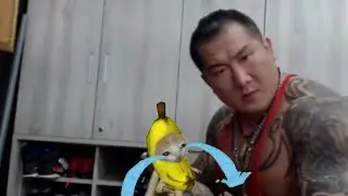 被糟蹋的香蕉貓