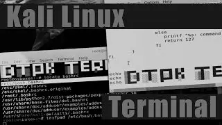 Kali Linux 