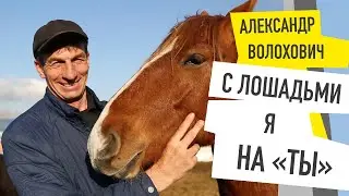 Истории успеха - Фермер Волохович - От водителя автобуса до Хозяина большой фермы.